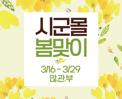 시군몰 봄맞이 안내